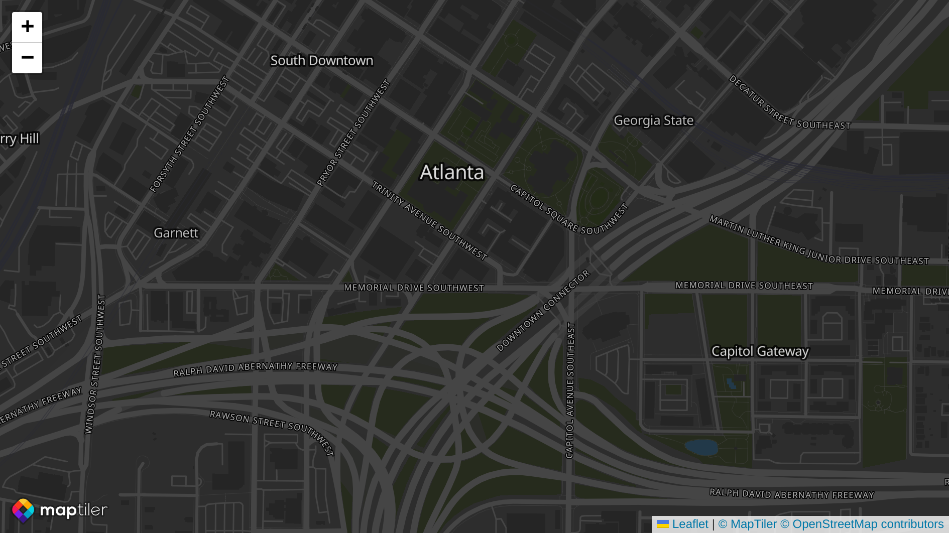Display Leaflet map using Vite